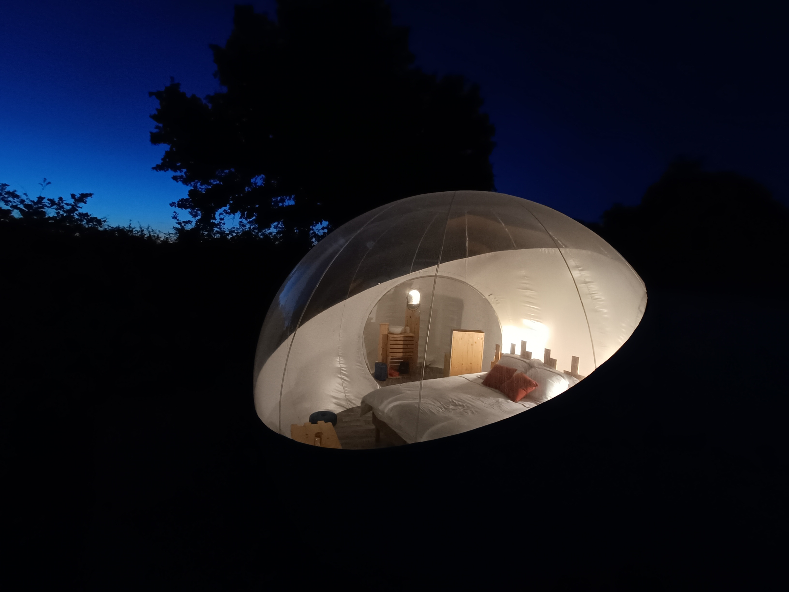 Reine des Prés - Pré en Bulles