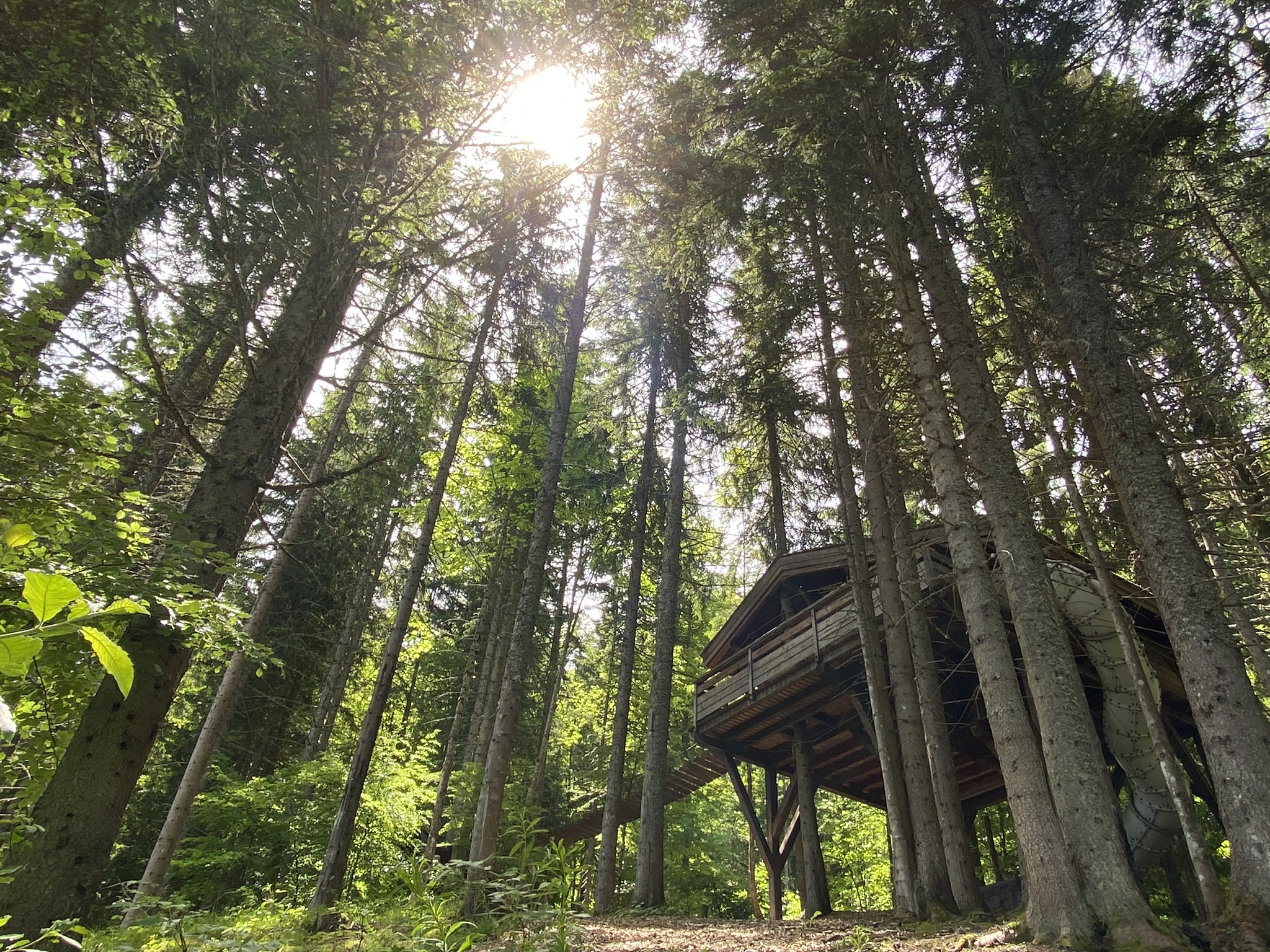 Cabane Spa du Ruisseau : une immersion dans les arbres en Rhône-Alpes à Saint Nicolas La Chapelle — vue intérieure