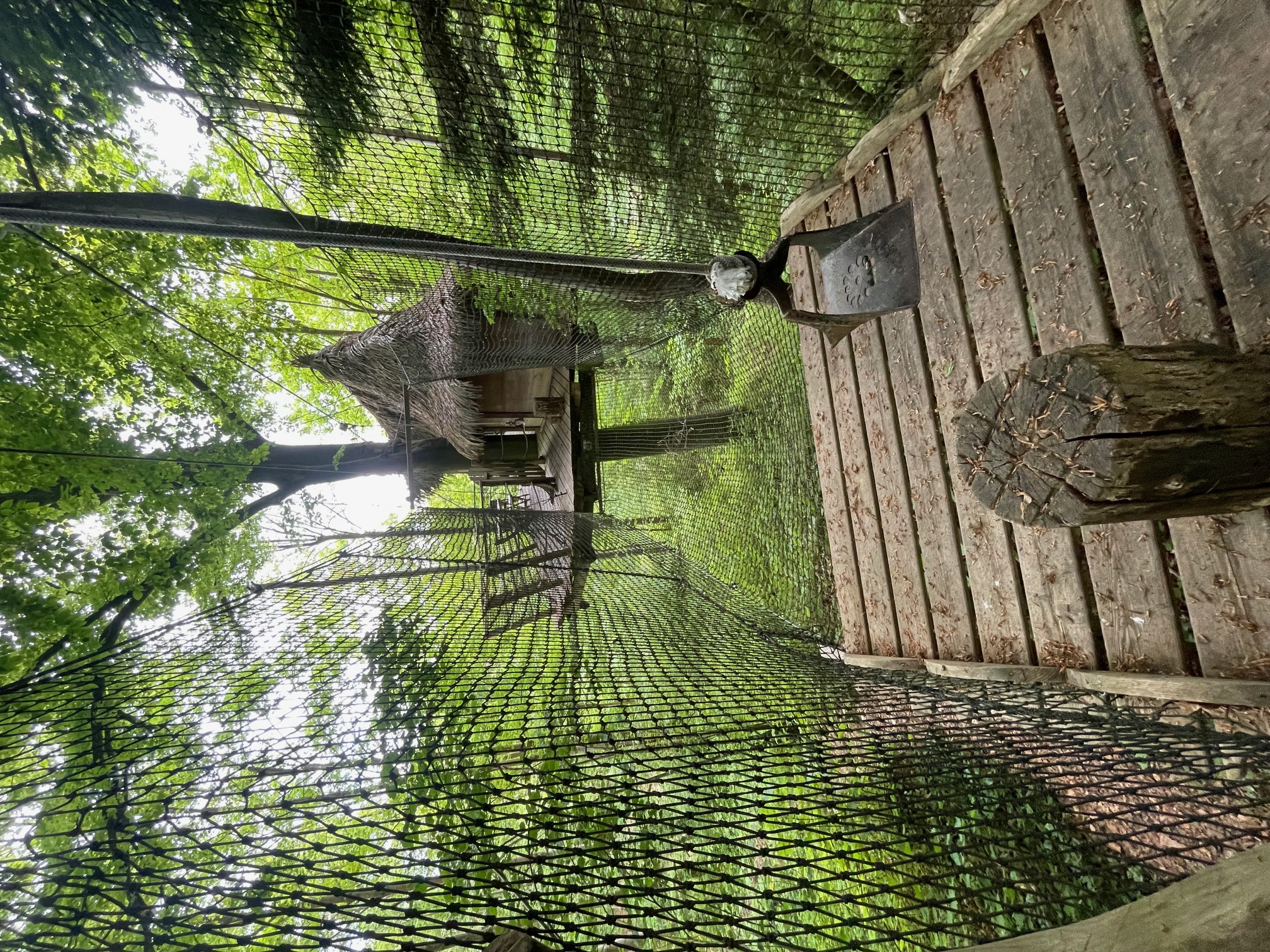 Évasion en cabane : un refuge dans les arbres en Haute-Normandie à St Germain Des Essourts — vue intérieure