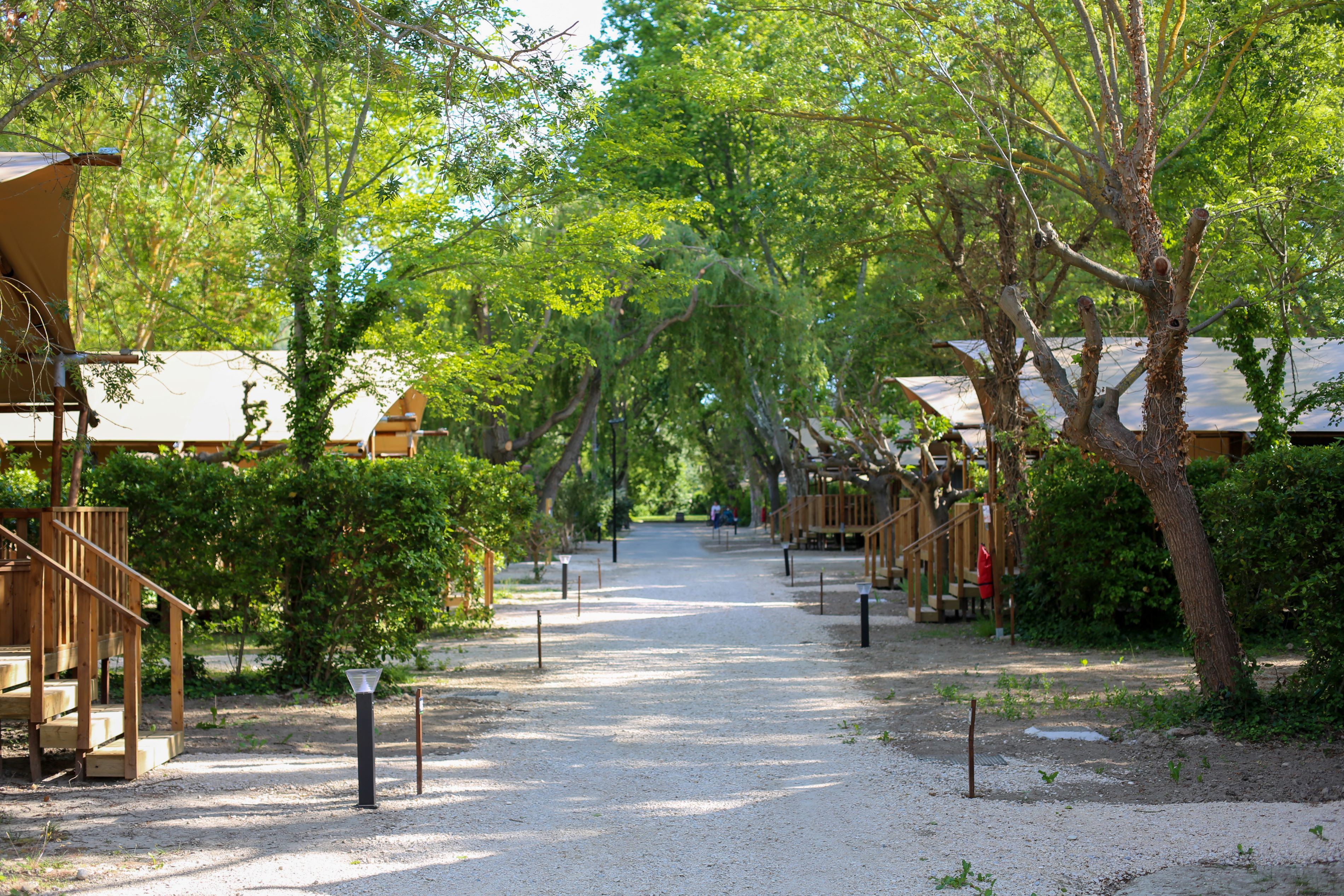 Lodge Safari 4 personnes — Séjour avec spa à Vaucluse à Fontaine-de-Vaucluse — vue depuis la terrasse