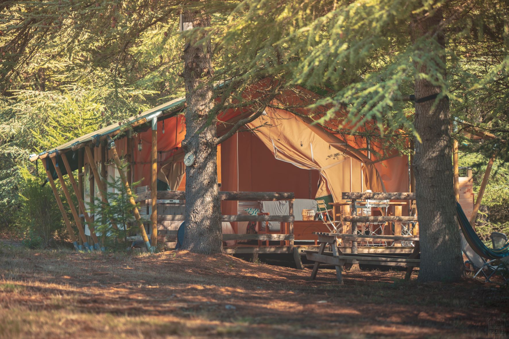 Glamping Lodge Expérience : un safari en pleine nature