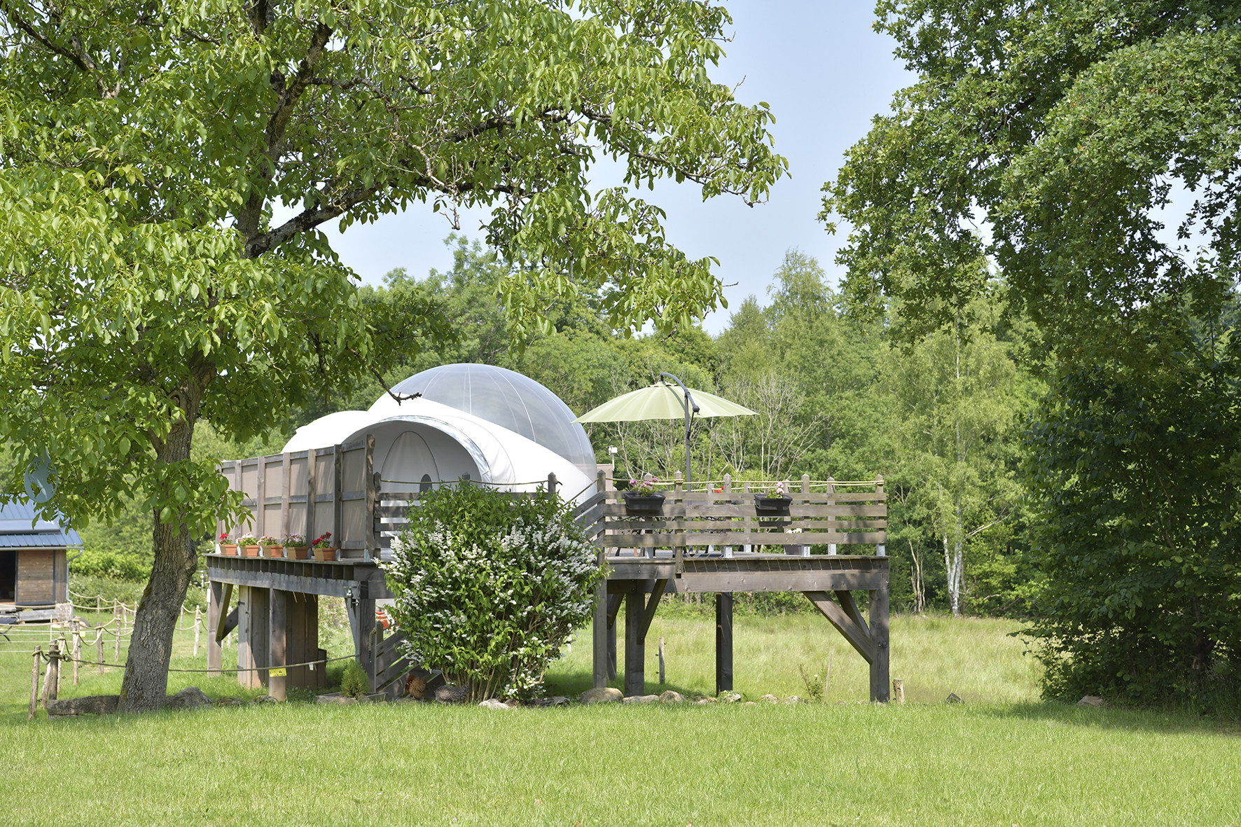 Bulle Hirondelle : une évasion en pleine nature en Bourgogne à Quarré-Les-Tombes — vue intérieure