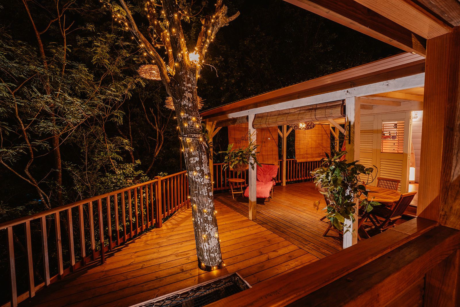 La Cabane aux étoiles : une immersion dans les cimes de la Guadeloupe à Deshaies — vue intérieure