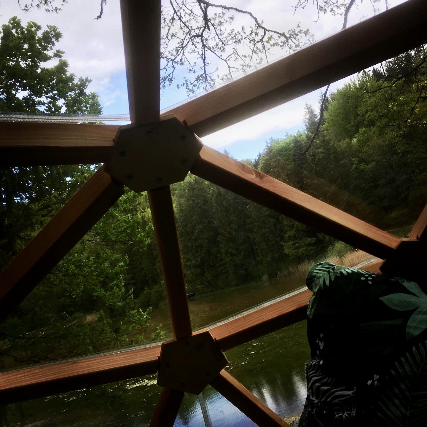 Petite Ourse — Dôme perché à 4m dans les arbres en Meuse à Saint-Remy-la-Calonne — vue intérieure