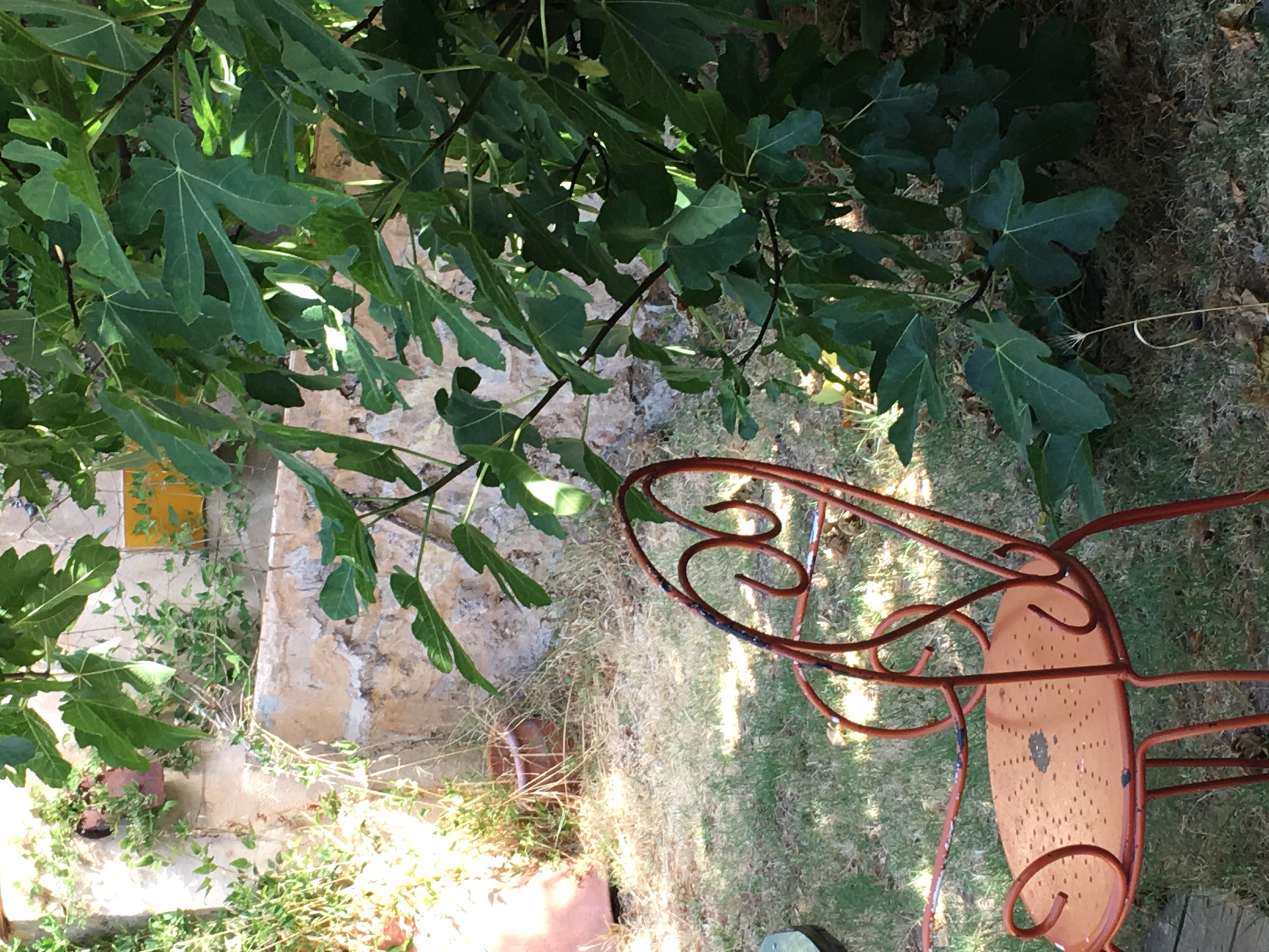 Évasion romantique dans une cabane avec balnéothérapie à Barjols — cuisine