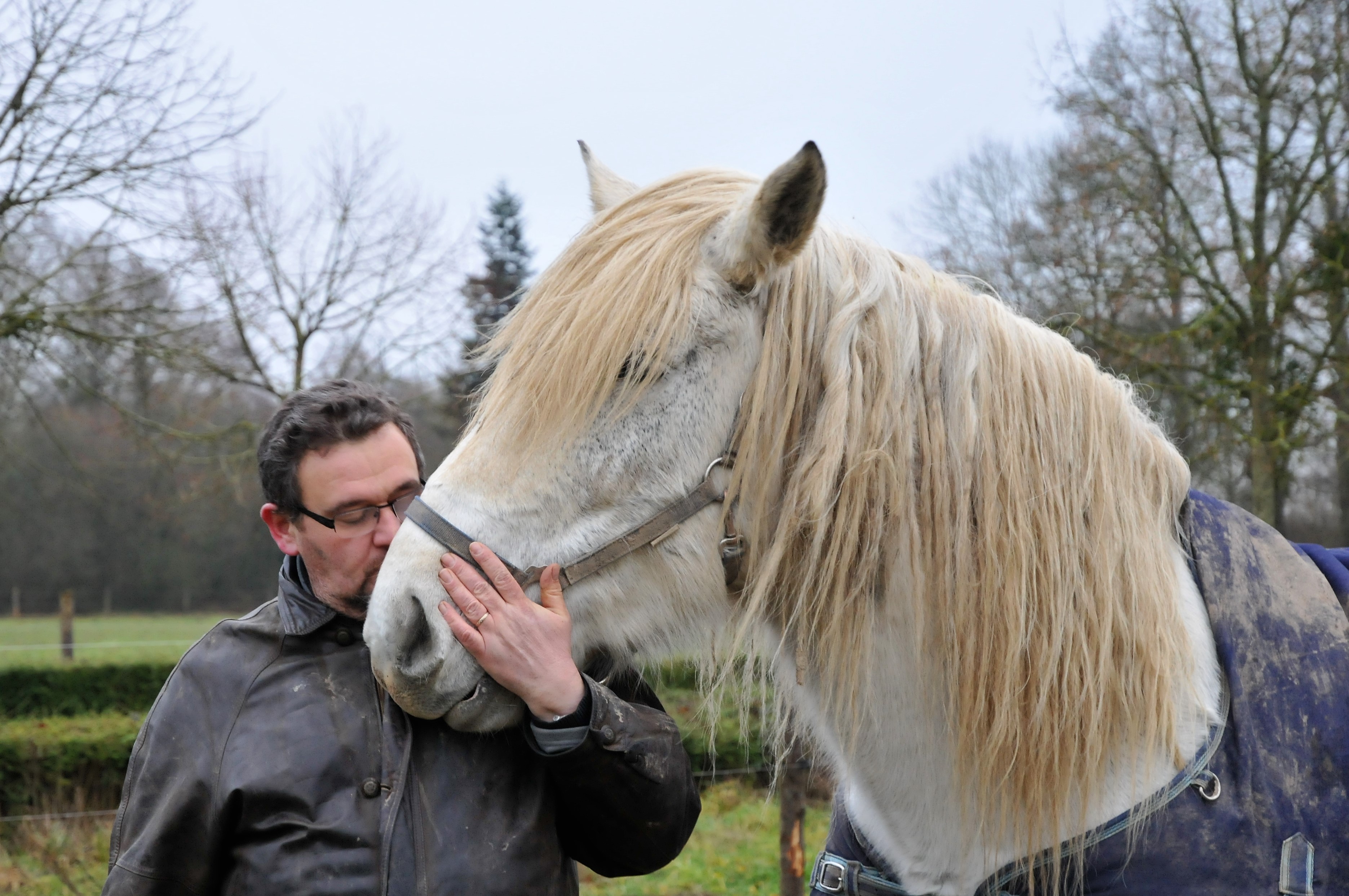 Évasion sensorielle dans la Suite Saint Honoré en Basse-Normandie à St Denis Sur Huisne — environnement naturel