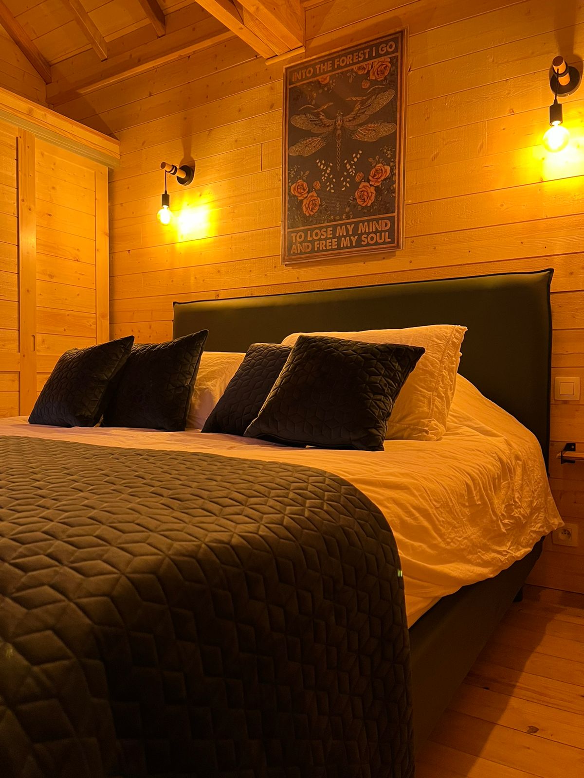 Cabane Petit Bois : une expérience immersive en pleine nature à Boismorand — vue depuis la terrasse