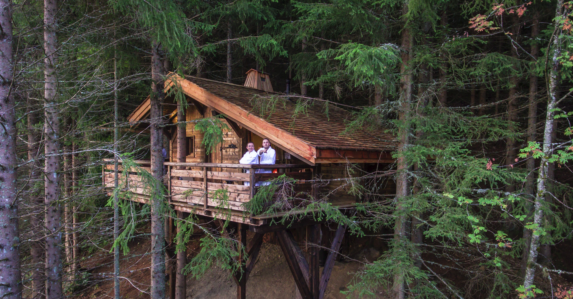 Évasion dans une cabane spa au cœur des arbres