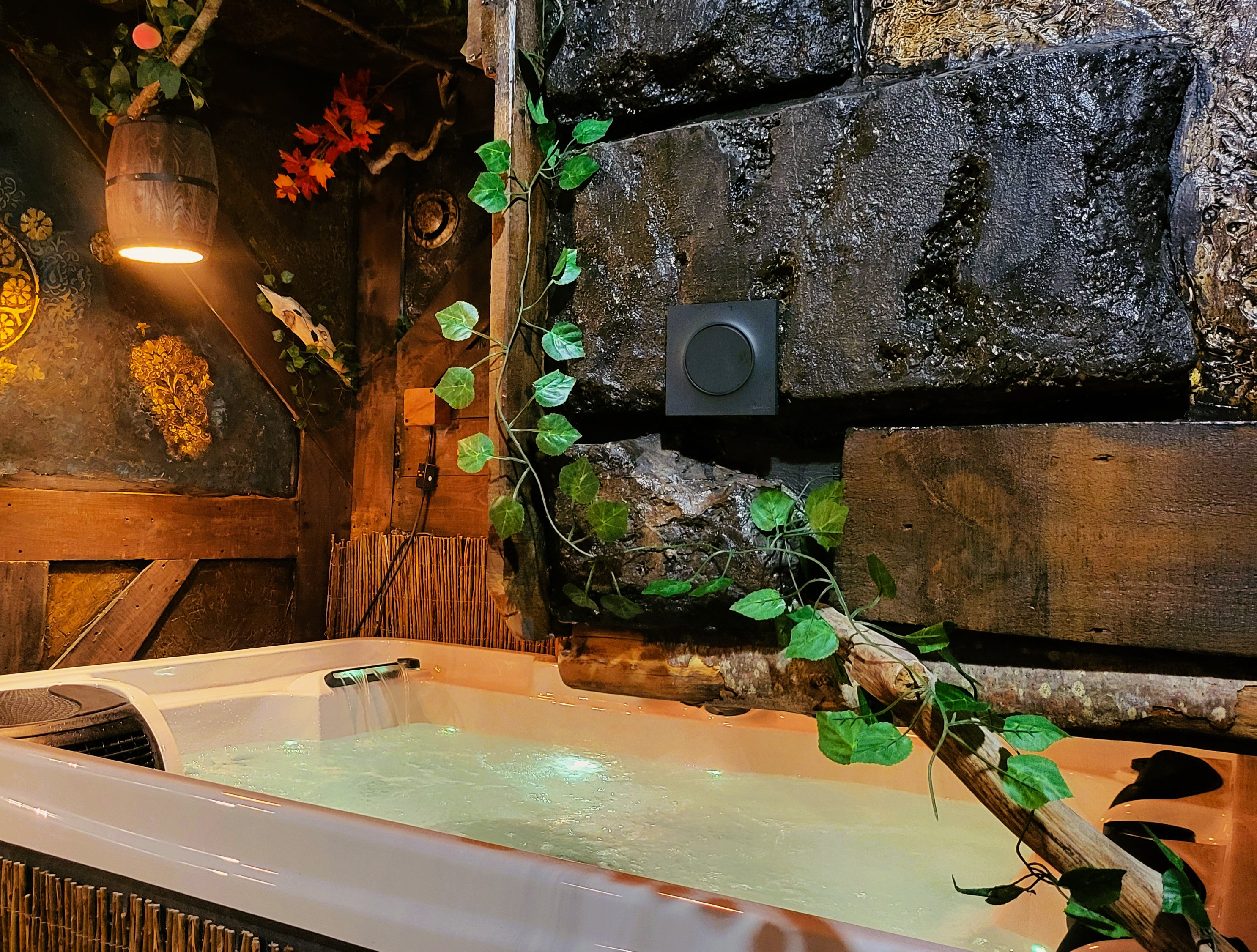 L'Auberge du Trône — Chambre à thème avec jacuzzi à Loire à Saint-Étienne — espace de vie