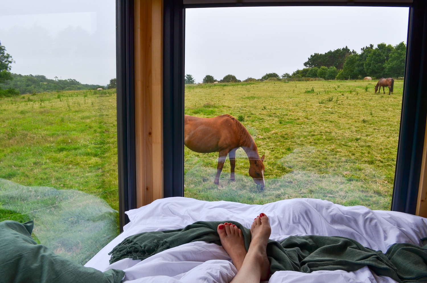 Parcel Tiny House — Séjour avec piscine à Plonéour-Lanvern à Plonéour-Lanvern — espace de vie