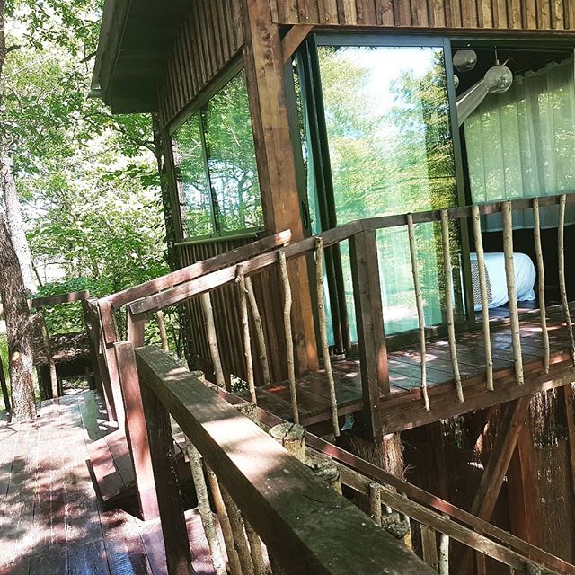 Cabane Réminiscence et Spa : une évasion dans les arbres à Origne — détail architectural