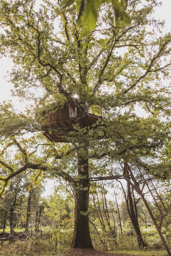 Cabane Évasion : une immersion dans les arbres en Franche-Comté à Chassey-Lès-Montbozon — vue intérieure