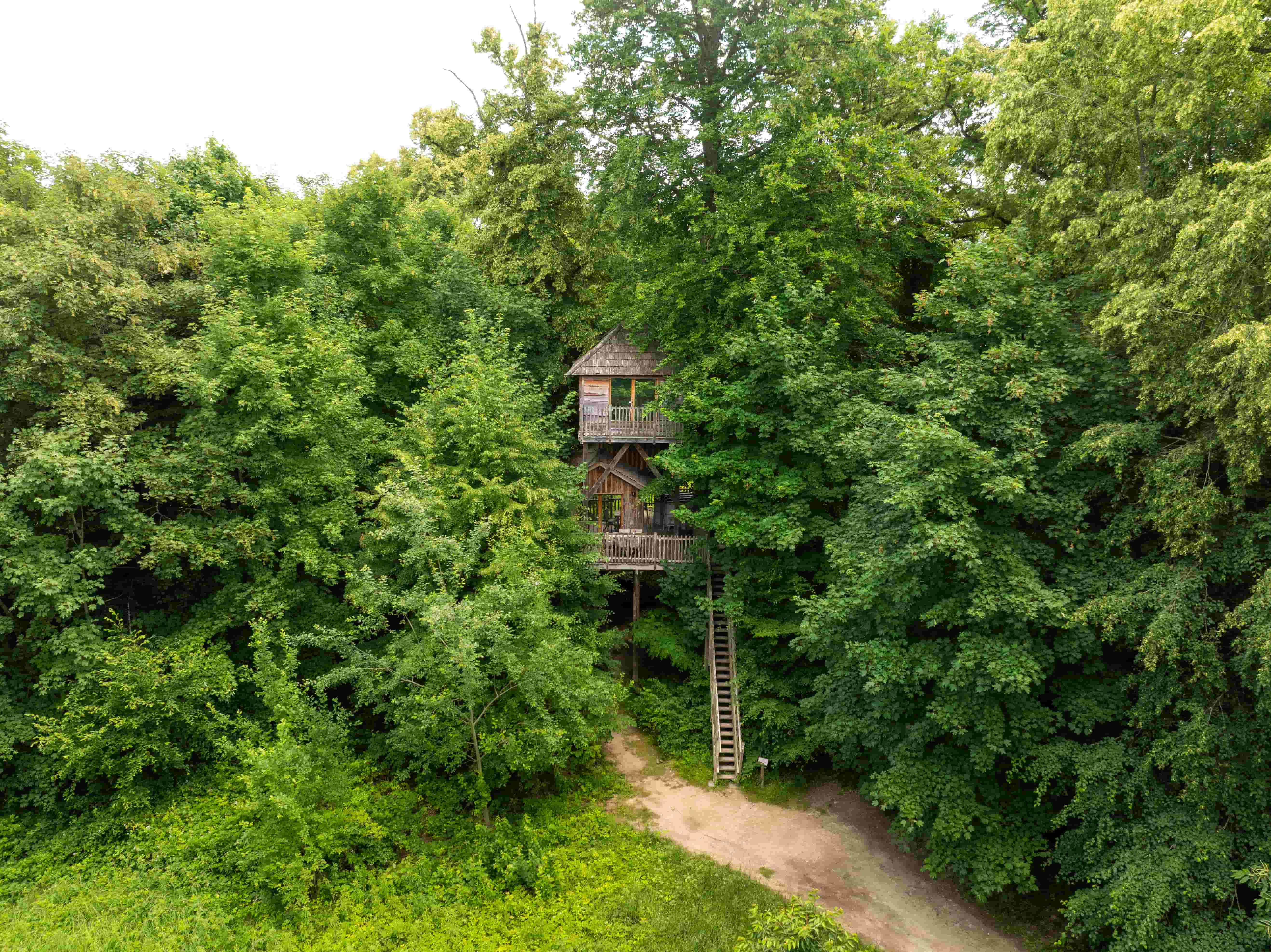 Cabane Spa Imaginaire : une évasion dans les arbres en Picardie
