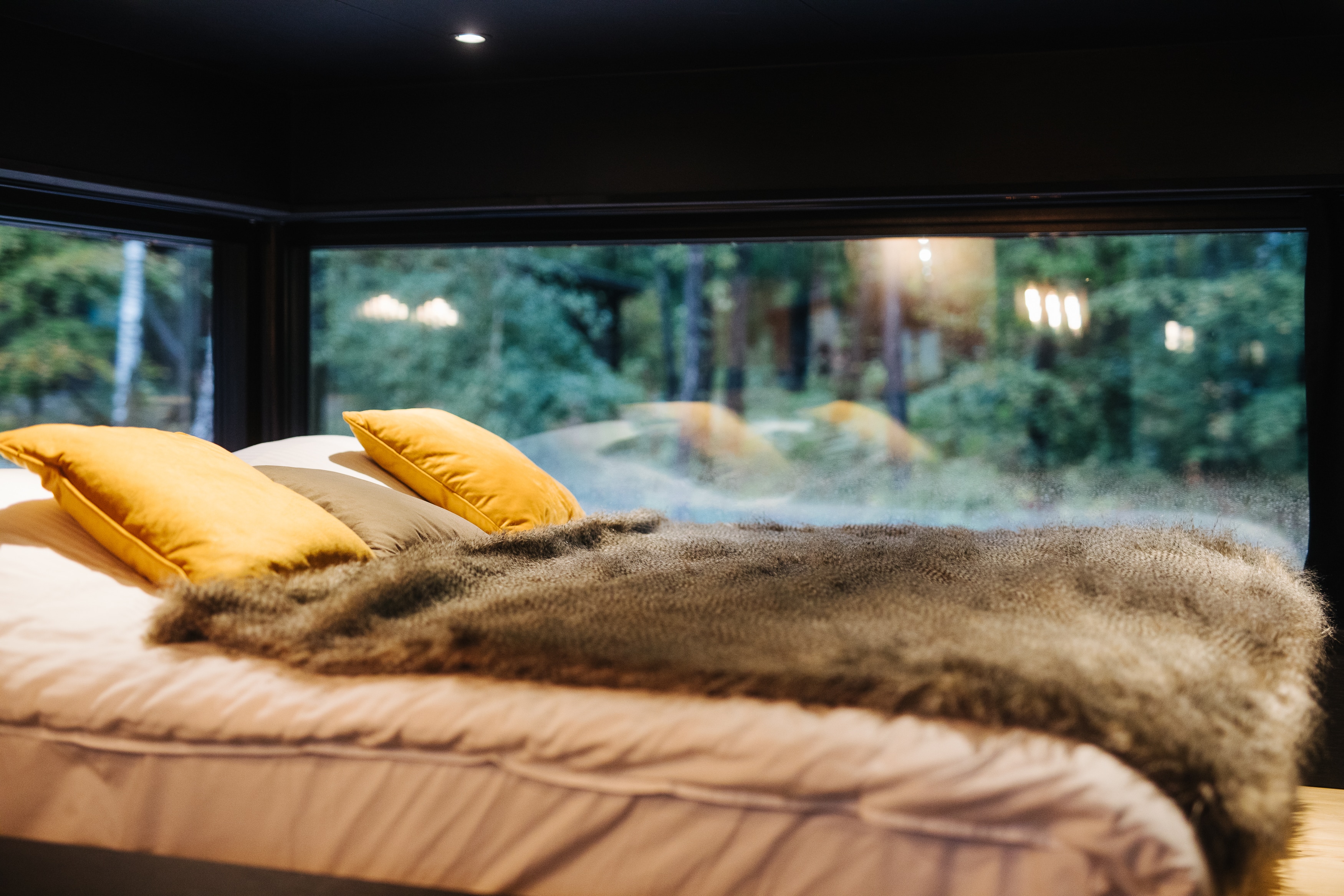 Photo 4/9 — Ecolodge « Forest Cube — Ecolodge avec spa à Namur » à Namur Wallonie